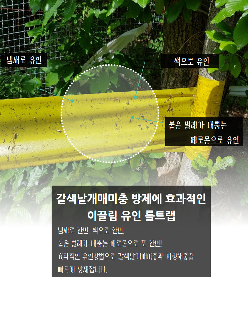 Bug Trap Insect Attraction Trap Roll Trap 20cmX100meter Made in Korea Pest Control Traps in Pest Control