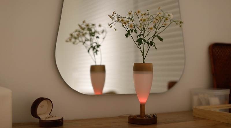 DelightWine  Transform Diffuser Mood Lamp 4 colors/ After 2hours turn off/ Transfom design