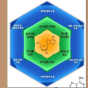 Cordyceps 50g - Dotrade Express. Trusted Korea Manufacturers. Find the best Korean Brands
