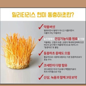 Cordyceps 50g - Dotrade Express. Trusted Korea Manufacturers. Find the best Korean Brands