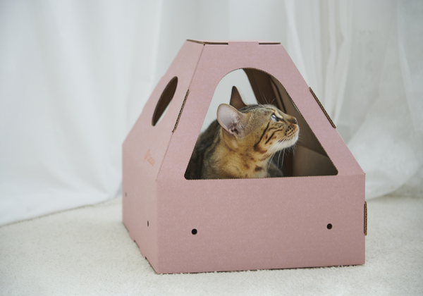 Catssle  Eco Modern Cathouse
