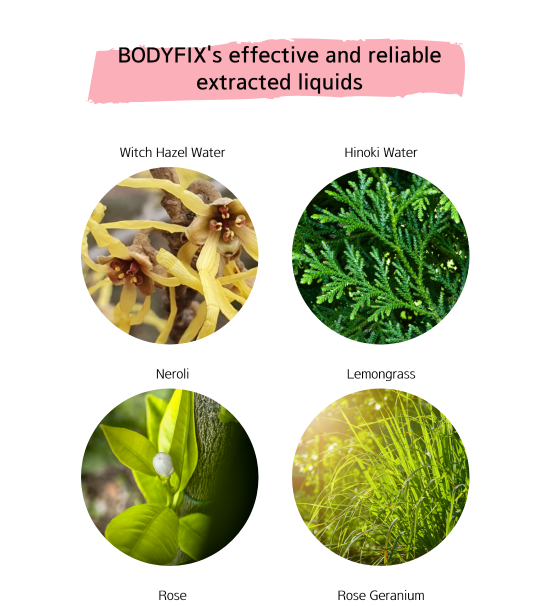 BODYFIX Active-Roll 50ml (1.69 fl.Oz) - Body slim, Anti-Cellulite Gel Type Roll