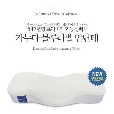 KANUDA Blue Label Andante Pillow - Dotrade Express. Trusted Korea Manufacturers. Find the best Korean Brands