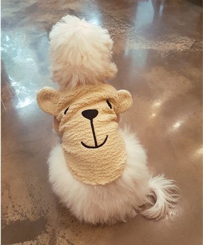 DOGMOM Teddy Bear T-Shirt - Dotrade Express. Trusted Korea Manufacturers. Find the best Korean Brands