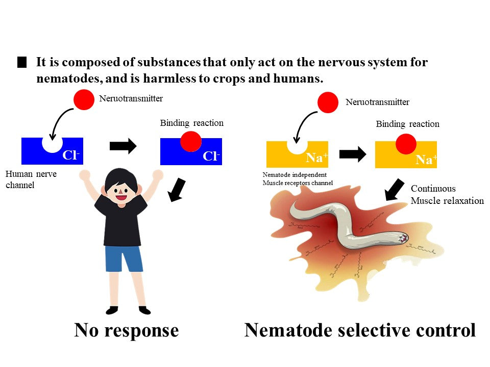 Nemadocter Biopesticide product for nematode control 1L Light brown mi