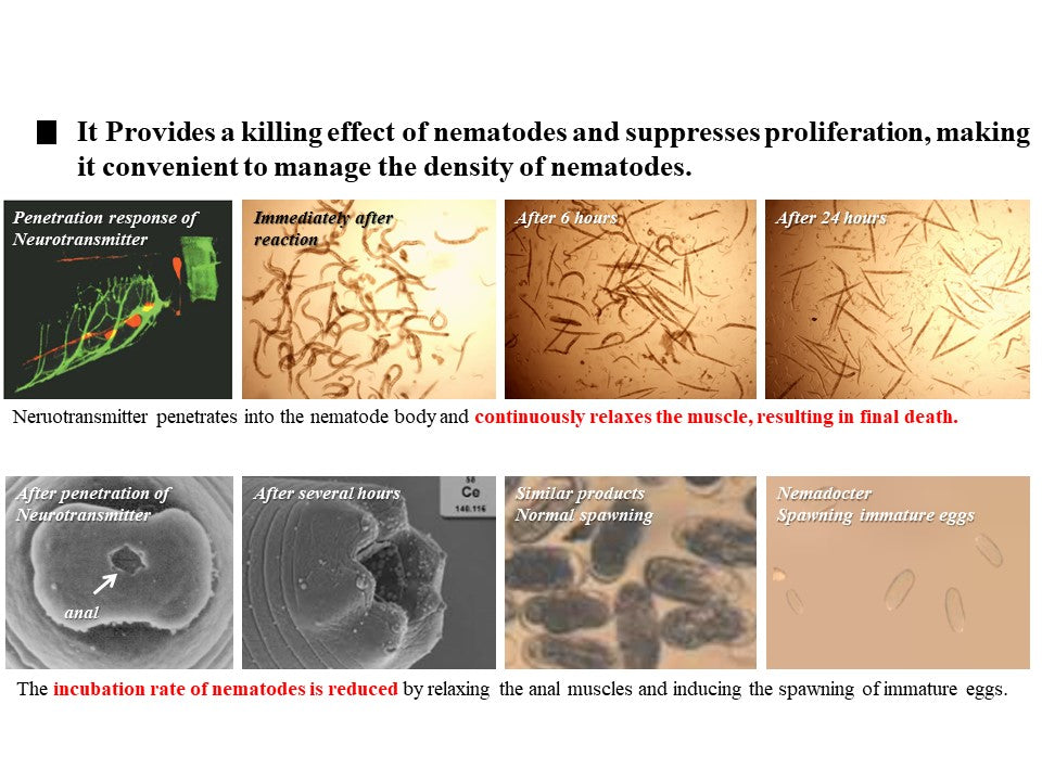 Nemadocter Biopesticide product for nematode control 1L Light brown mi
